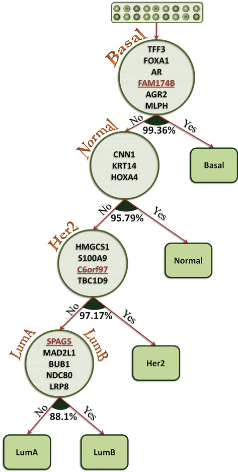 BreastCancerSubtypesTree