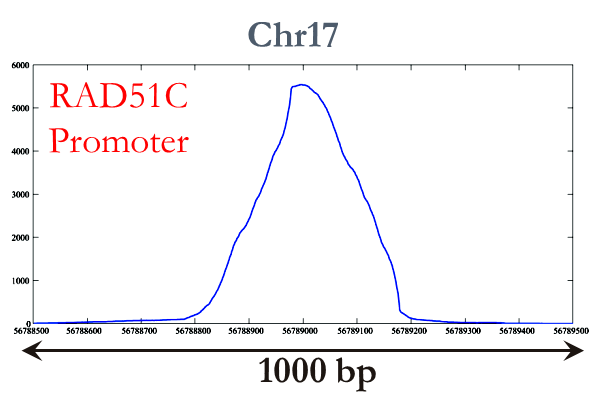 ChIP-seq-OMT-Regions