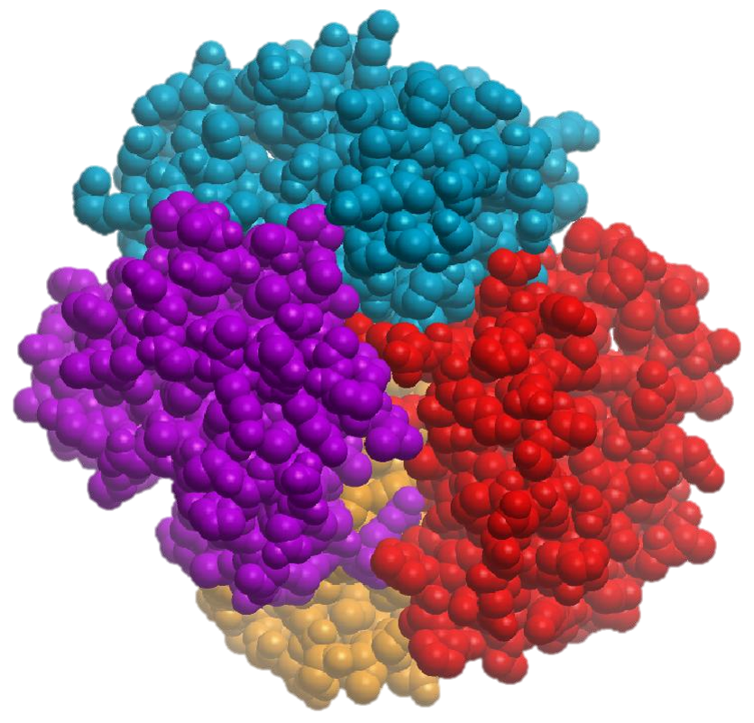 CaM-Binding-Protein