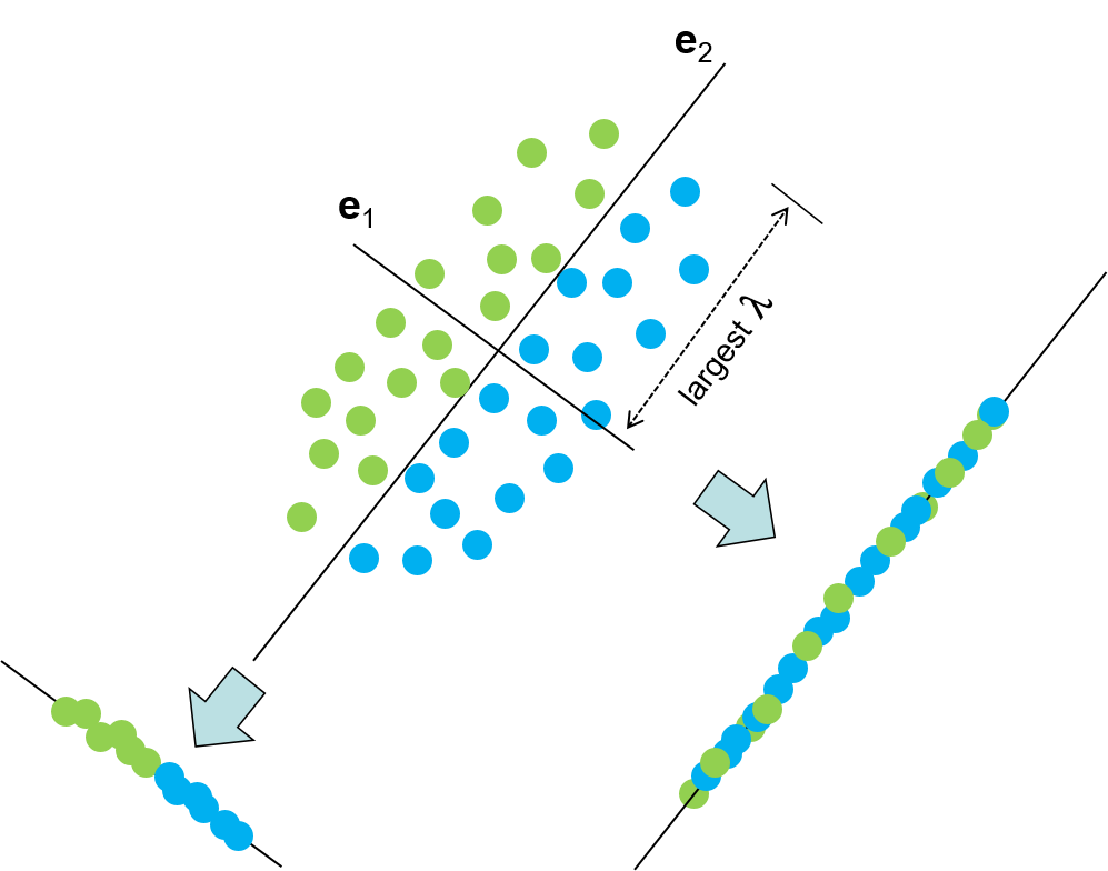 CaM-Binding-Protein